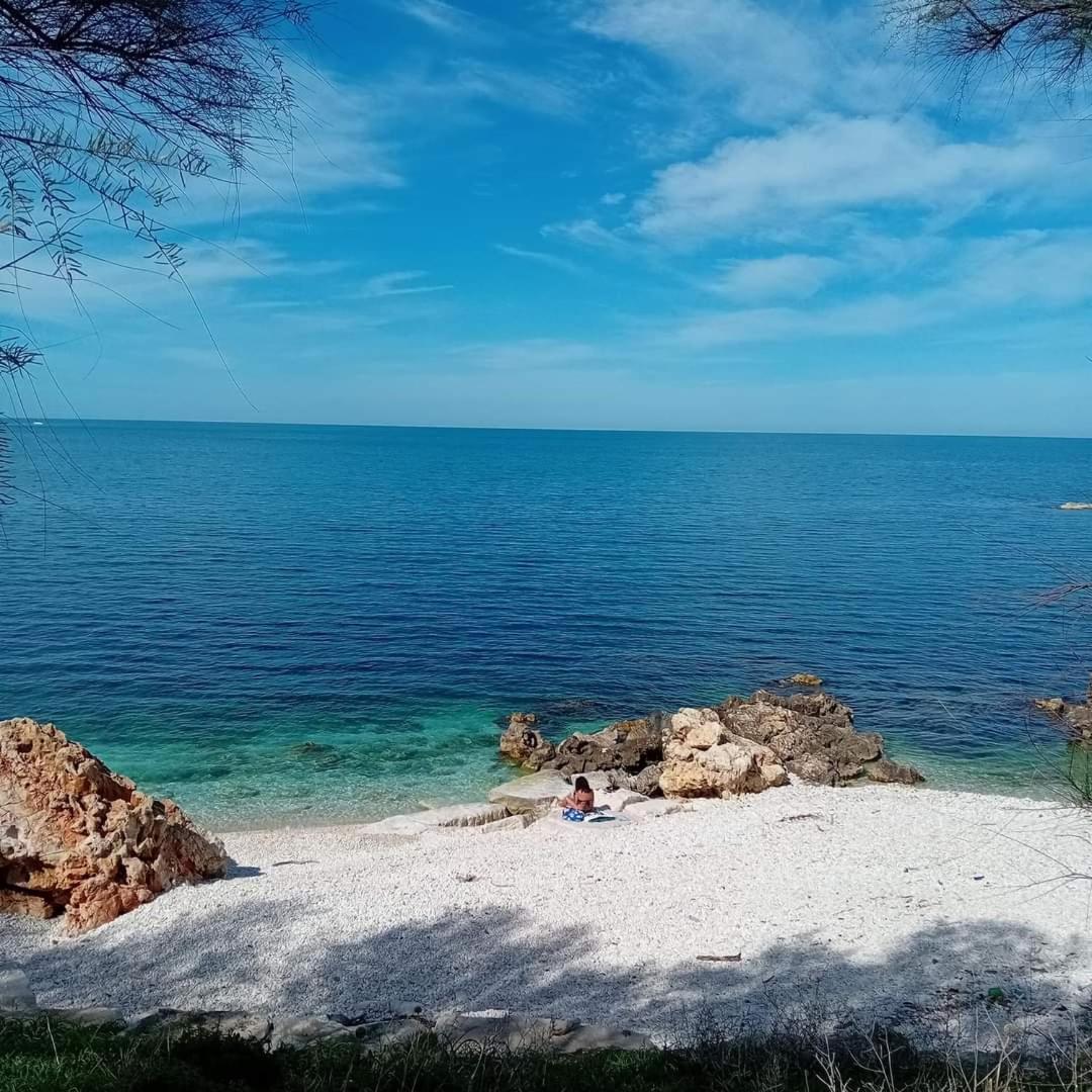 Amaste In Puglia Casa Vacanza 比谢列 外观 照片